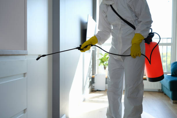 Best Mold Remediation for Schools in Thunder Mountain, NM